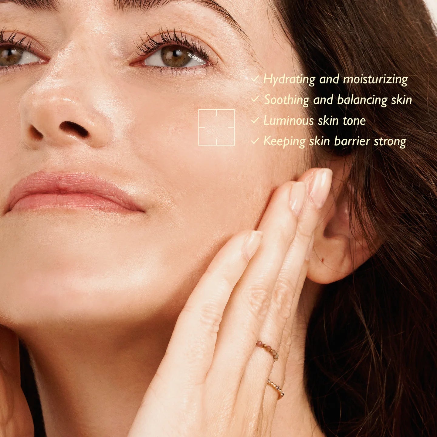 Black Rice Hyaluronic Toner - SKINZA