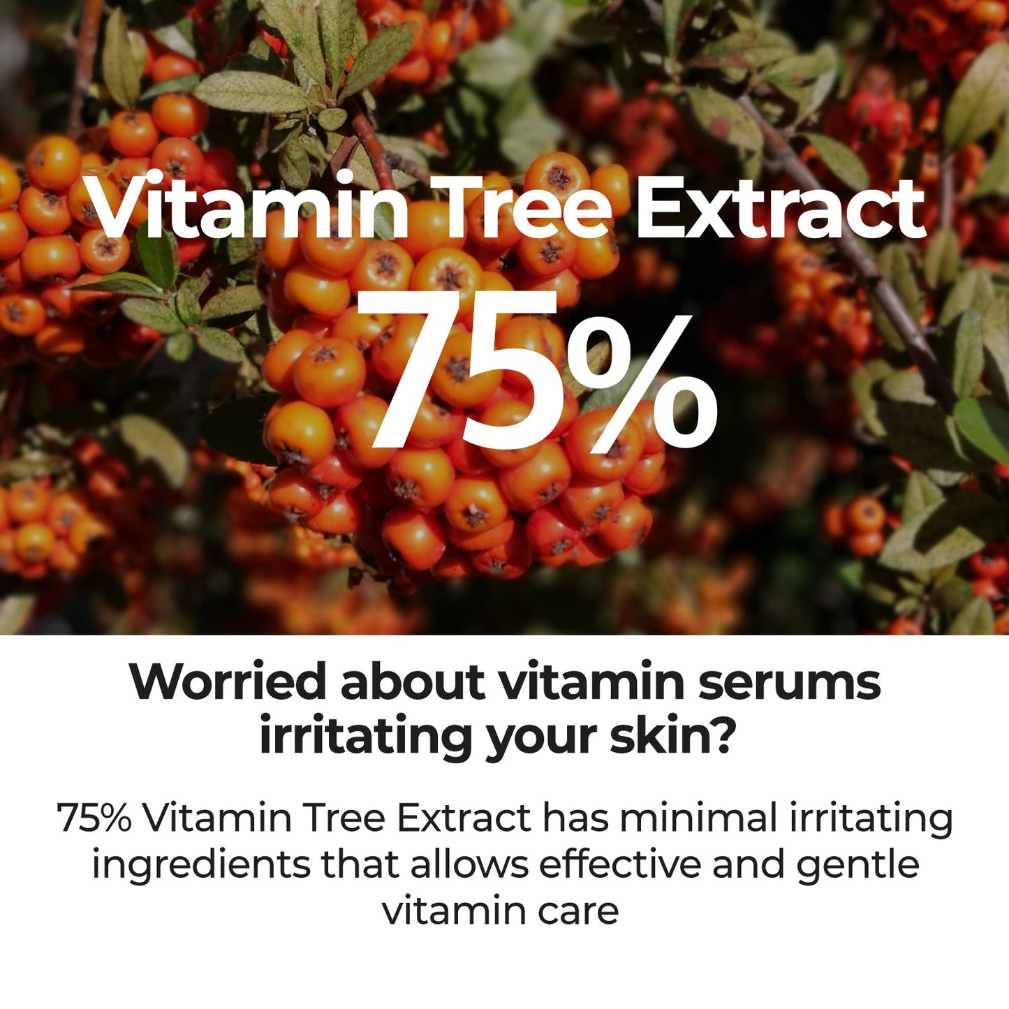 Numbuzin No.5 Goodbye Blemish Serum in a clear glass bottle with dropper, showing the serum's smooth texture and branding.