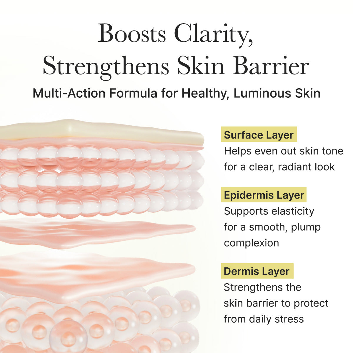 Diagram of skin layers with text about skincare benefits