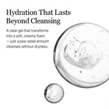 ROUND LAB Birch Juice Moisturizing Cleanser in a clear bottle, showing the product label and a pump dispenser.