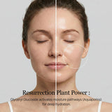 ROUND LAB 1025 Dokdo Toner in a clear 200ml bottle, featuring a minimalist label and a light, refreshing appearance.