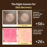 Dr.Reju-All anti-aging cream routine set with multiple skincare products in sleek packaging for youthful skin.