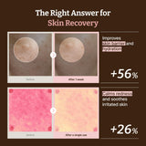 SKINZA Dr.Reju-All Advanced PDRN Rejuvenating Cream in a jar, showcasing the creamy skincare product for skin renewal and revitalization.