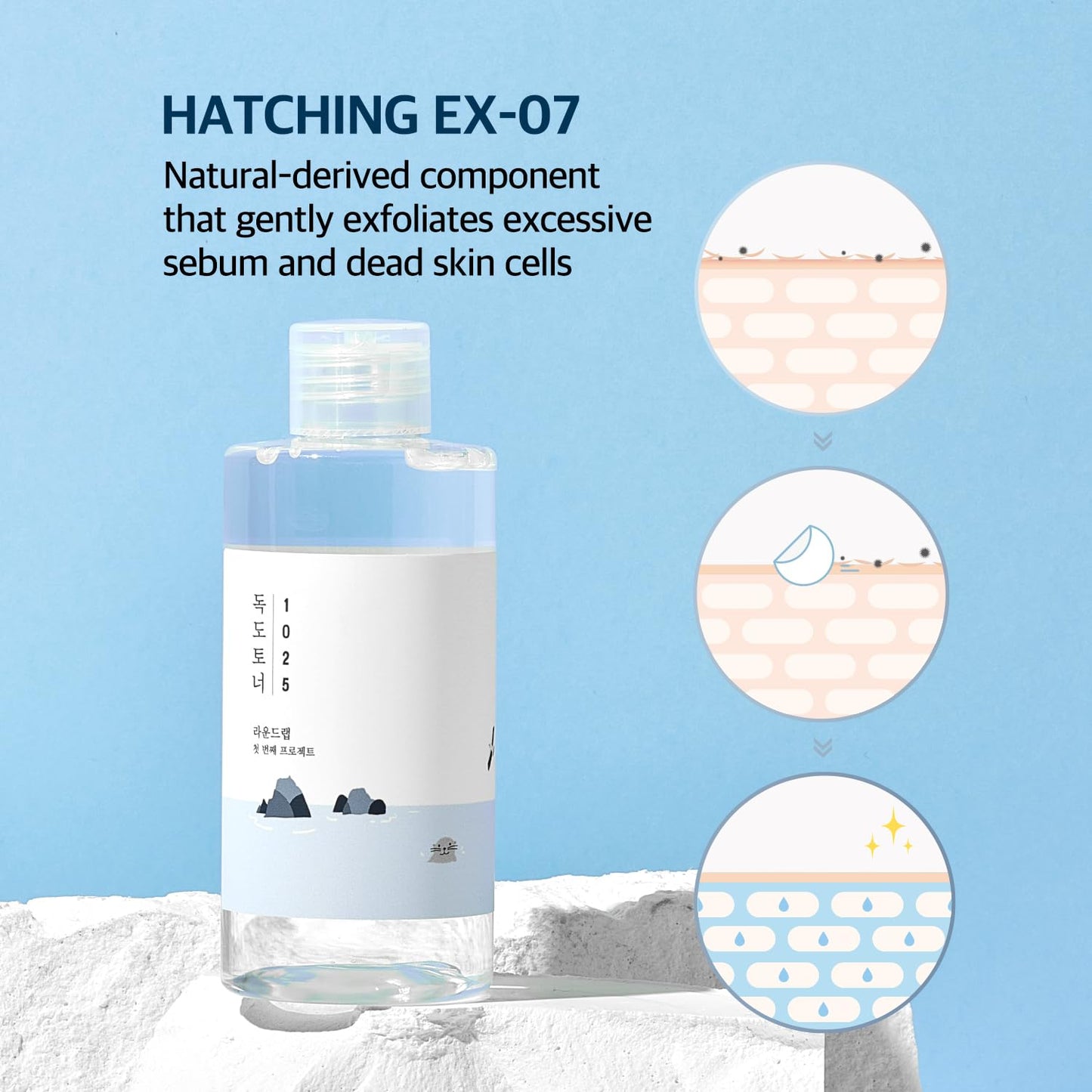 ROUND LAB 1025 Dokdo Toner in a clear glass bottle with a white label and silver cap, ready for skincare use.