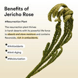 Collagen eye patch Jericho rose jelly - SKINZA
