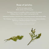 Jericho rose collagen pad Firming touch - SKINZA